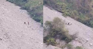 Badrinath Highway: तोताघाटी के पास दिल्ली के श्रद्धालुओं की कार खाई में गिरी, केदारनाथ दर्शन कर लौट रहे थे