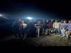 Nainital: मवेशियों के लिए चारा लाने गई महिला की वन्यजीव के हमले में मौत, वन विभाग के खिलाफ जताई नाराजगी