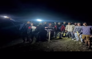 Nainital: मवेशियों के लिए चारा लाने गई महिला की वन्यजीव के हमले में मौत, वन विभाग के खिलाफ जताई नाराजगी