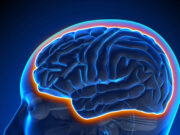 दिमाग को 9 गुना तेजी से बूढ़ा कर रहा प्रदूषण — 7 अहम कारण 1