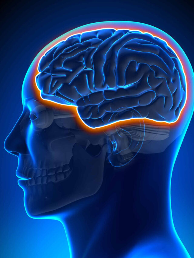 दिमाग को 9 गुना तेजी से बूढ़ा कर रहा प्रदूषण — 7 अहम कारण