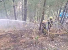 Chamoli: ग्वीलों गांव के जंगलों में भड़की आग, लोगों में मची अफरातफरी, एक घंटे की कड़ी मशक्कत के बाद बुझाई गई