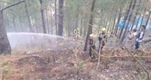 Chamoli: ग्वीलों गांव के जंगलों में भड़की आग, लोगों में मची अफरातफरी, एक घंटे की कड़ी मशक्कत के बाद बुझाई गई