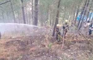 Chamoli: ग्वीलों गांव के जंगलों में भड़की आग, लोगों में मची अफरातफरी, एक घंटे की कड़ी मशक्कत के बाद बुझाई गई