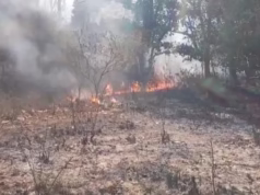 Uttarakhand: रिकॉर्ड तोड़ जंगलों में आग की घटनाएं दर्ज, वायु गुणवत्ता चिंताजनक, ब्लैक कार्बन बढ़ा रही तपन