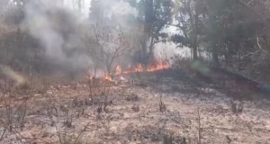 Uttarakhand: रिकॉर्ड तोड़ जंगलों में आग की घटनाएं दर्ज, वायु गुणवत्ता चिंताजनक, ब्लैक कार्बन बढ़ा रही तपन