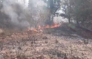 Uttarakhand: रिकॉर्ड तोड़ जंगलों में आग की घटनाएं दर्ज, वायु गुणवत्ता चिंताजनक, ब्लैक कार्बन बढ़ा रही तपन