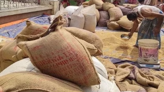 free-ration-scheme_310fe59304112745ce520d0731f3b6bf (1)