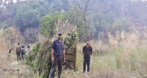 Nainital: ज्योली में महिला की मौत के बाद दहशत, हमलावर वन्यजीव की तलाश में वन विभाग की घेराबंदी तेज