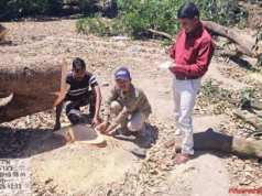 Ramnagar: कॉलोनी बनाने के लिए 12 बीघा बगीचे में 60 पेड़ों पर चला दी आरी, बगीचा स्वामी के खिलाफ FIR दर्ज