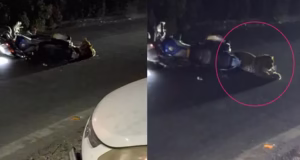 Bhimtal: भीमताल में सड़क पार करते समय चलती बाइक से टकराकर फंसा तेंदुआ, चालक ने दुकान में घुसकर बचाई जान