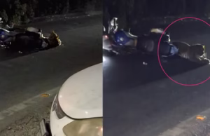 Bhimtal: भीमताल में सड़क पार करते समय चलती बाइक से टकराकर फंसा तेंदुआ, चालक ने दुकान में घुसकर बचाई जान
