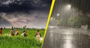 Uttarakhand: मौसम ने छीनी मुस्कान, चिंता में डूबे प्रदेश के किसान