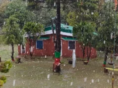 Uttarakhand: अल्मोड़ा में भरतकोट के साथ पांडवखोली की चोटी पर सीजन का तीसरा हिमपात, बढ़ी ठंड