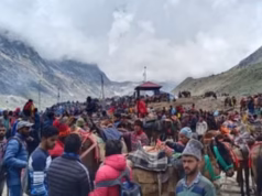 चारधाम यात्रा: घोड़ा-खच्चरों के संचालन के लिए नई SOP, पीटने और तेज दौड़ाने पर रोक, ये गतिविधियां प्रतिबंधित