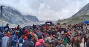 चारधाम यात्रा: घोड़ा-खच्चरों के संचालन के लिए नई SOP, पीटने और तेज दौड़ाने पर रोक, ये गतिविधियां प्रतिबंधित