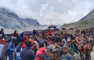 चारधाम यात्रा: घोड़ा-खच्चरों के संचालन के लिए नई SOP, पीटने और तेज दौड़ाने पर रोक, ये गतिविधियां प्रतिबंधित