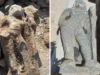 Uttarakhand: देहरादून के लाखामंडल में अवैध खोदाई से मिले प्राचीन अवशेष और मूर्तियां, मंदिर समिति ने की कार्रवाई की मांग