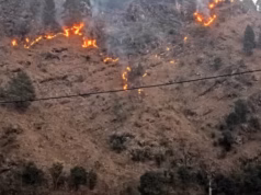 Uttarakhand: घर की ओर बढ़ रही जंगल की आग को रोकने गई महिला, बुरी तरह झुलसने से मौत, पैंडुला गांव में हादसा