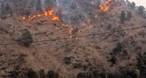 Uttarakhand: घर की ओर बढ़ रही जंगल की आग को रोकने गई महिला, बुरी तरह झुलसने से मौत, पैंडुला गांव में हादसा