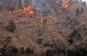 Uttarakhand: घर की ओर बढ़ रही जंगल की आग को रोकने गई महिला, बुरी तरह झुलसने से मौत, पैंडुला गांव में हादसा
