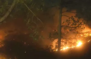 Uttarakhand: आदिबदरी के बूंगा गांव में जंगल की आग की लपटों में घिरी महिला, हुई मौत, नारायणबगड़ में महिला झुलसी