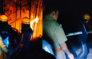 Uttarakhand: बड़ेथी में जंगल की भीषण आग बस्ती और हाईवे तक पहुंची, गेस्ट हाउस से 70 यात्रियों को सुरक्षित निकाला