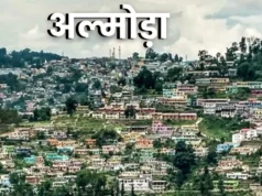 Uttarakhand: अल्मोड़ा जिला योजना बजट में कटौती, शिक्षा-पर्यटन और सड़क विभागों को बड़ा झटका, घटा Budget