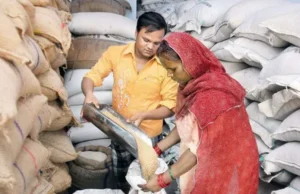 Uttarakhand News: 23 हजार से ज्यादा राशन कार्डों पर लग सकती है रोक, नहीं मिलेगा राशन