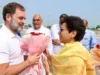 राहुल गांधी के उत्तराखंंड चुनावी शंखनाद से पहले कांग्रेस में संगठनात्मक कमी, कुमारी सैलजा ने संभाला मोर्चा