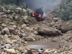 नई कार खरीद खुशी-खुशी जा रहा था परिवार, खाई में गिरकर लगी आग, दो भाइयों की मौत