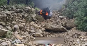 नई कार खरीद खुशी-खुशी जा रहा था परिवार, खाई में गिरकर लगी आग, दो भाइयों की मौत