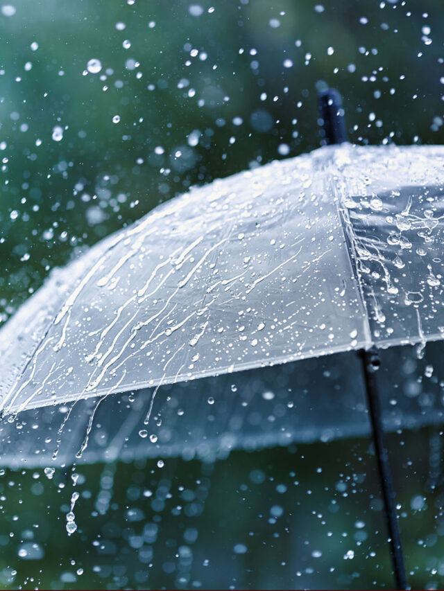 मानसून में स्वस्थ रहने के लिए 7 ज़रूरी सावधानियाँ