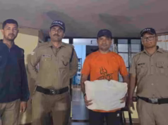 वन्यजीव तस्करी के प्रयास का पर्दाफाश: दो साल पहले फंदे से मारा था गुलदार, खाल बेचने से पहले आरोपी गिरफ्तार