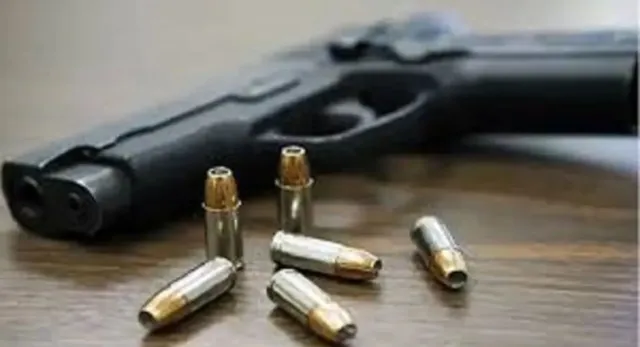 gun_-(1)-1782876966840_v
