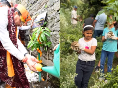 Harela Festival 2026: उत्तराखंड में आज लोकपर्व का उत्सव, हरियाली का महाअभियान, छह लाख पौधे लगाएगी भाजपा