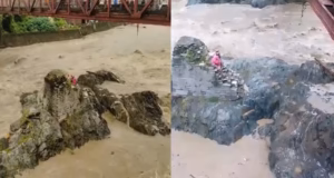 Rudraprayg: लकड़ी लेने गई थी महिलाएं, मंदाकिनी नदी का जलस्तर बढ़ने से बीच धारा में फंसीं, रेस्क्यू किया गया