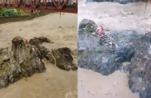 Rudraprayg: लकड़ी लेने गई थी महिलाएं, मंदाकिनी नदी का जलस्तर बढ़ने से बीच धारा में फंसीं, रेस्क्यू किया गया