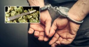 Nainital News: 27 किलो गांजे के साथ युवक पुलिस गिरफ्त में, आमडंडा क्षेत्र में पकड़ा सराईखेत से तस्करी कर आ रहा सागर
