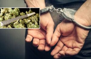 Nainital News: 27 किलो गांजे के साथ युवक पुलिस गिरफ्त में, आमडंडा क्षेत्र में पकड़ा सराईखेत से तस्करी कर आ रहा सागर