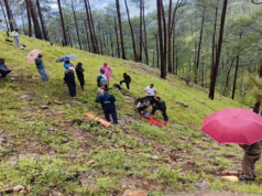 Uttarakhand News: घास लेने गई महिला की पहाड़ी से गिरकर मौत, परिवार में मचा कोहराम