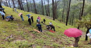 Uttarakhand News: घास लेने गई महिला की पहाड़ी से गिरकर मौत, परिवार में मचा कोहराम