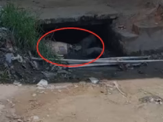 Ramnagar: नहर में मिला अज्ञात युवक का सड़ा-गला शव, मचा हड़कंप, पहचान में जुटी पुलिस
