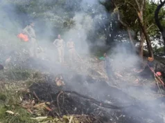 उत्तराखंड में हेलीकॉप्टर हादसों का काला इतिहास: पिछले साल केदारघाटी में हुआ था क्रैश, सात लोगों की गई थी जान