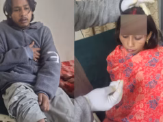 चमोली: ज्योतिर्मठ में भालू का आतंक, गोशाला में गाय को मारा, बचाने पहुंचे चार लोगों पर भी किया हमला