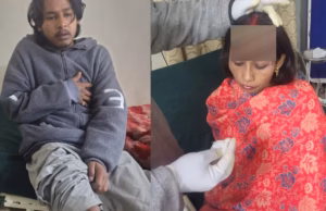 चमोली: ज्योतिर्मठ में भालू का आतंक, गोशाला में गाय को मारा, बचाने पहुंचे चार लोगों पर भी किया हमला