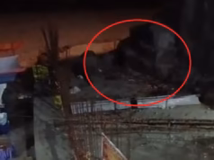 रामनगर: गर्जिया मंदिर के टीले के पास हाथी ने मचाया उत्पात, वन विभाग ने बढ़ाई निगरानी