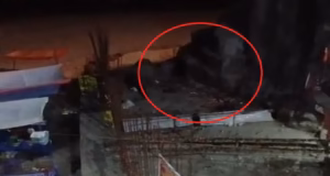 रामनगर: गर्जिया मंदिर के टीले के पास हाथी ने मचाया उत्पात, वन विभाग ने बढ़ाई निगरानी
